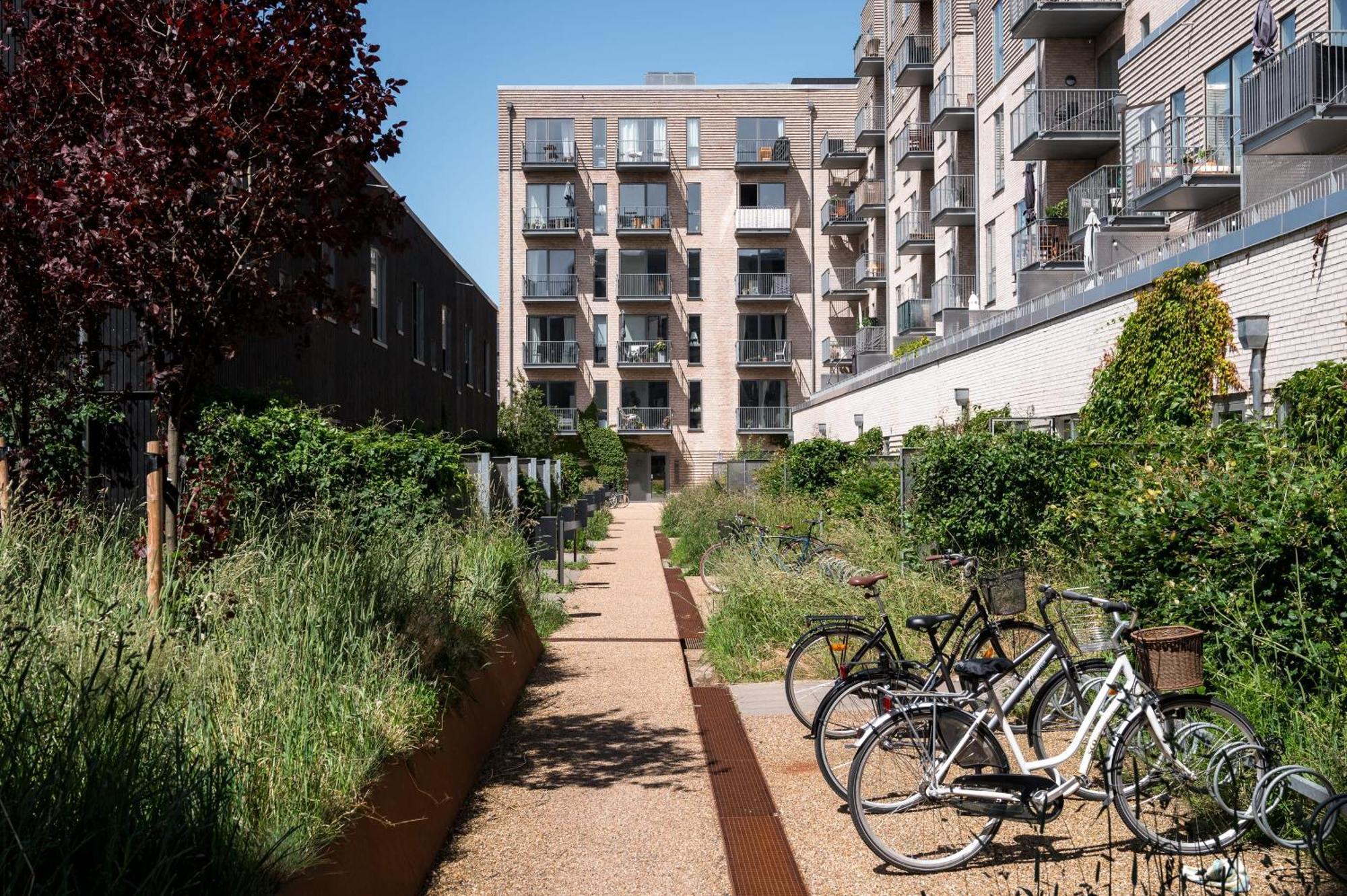 Beach Gardens 46 By Daniel&Jacob'S Copenaghen Esterno foto